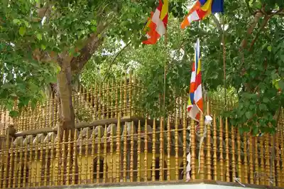Sri Maha Bodhiya
