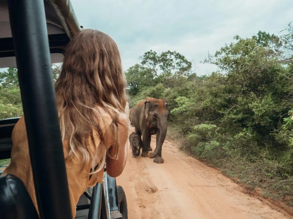 Hatton → Yala National Park
